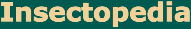 insectopedia_logo